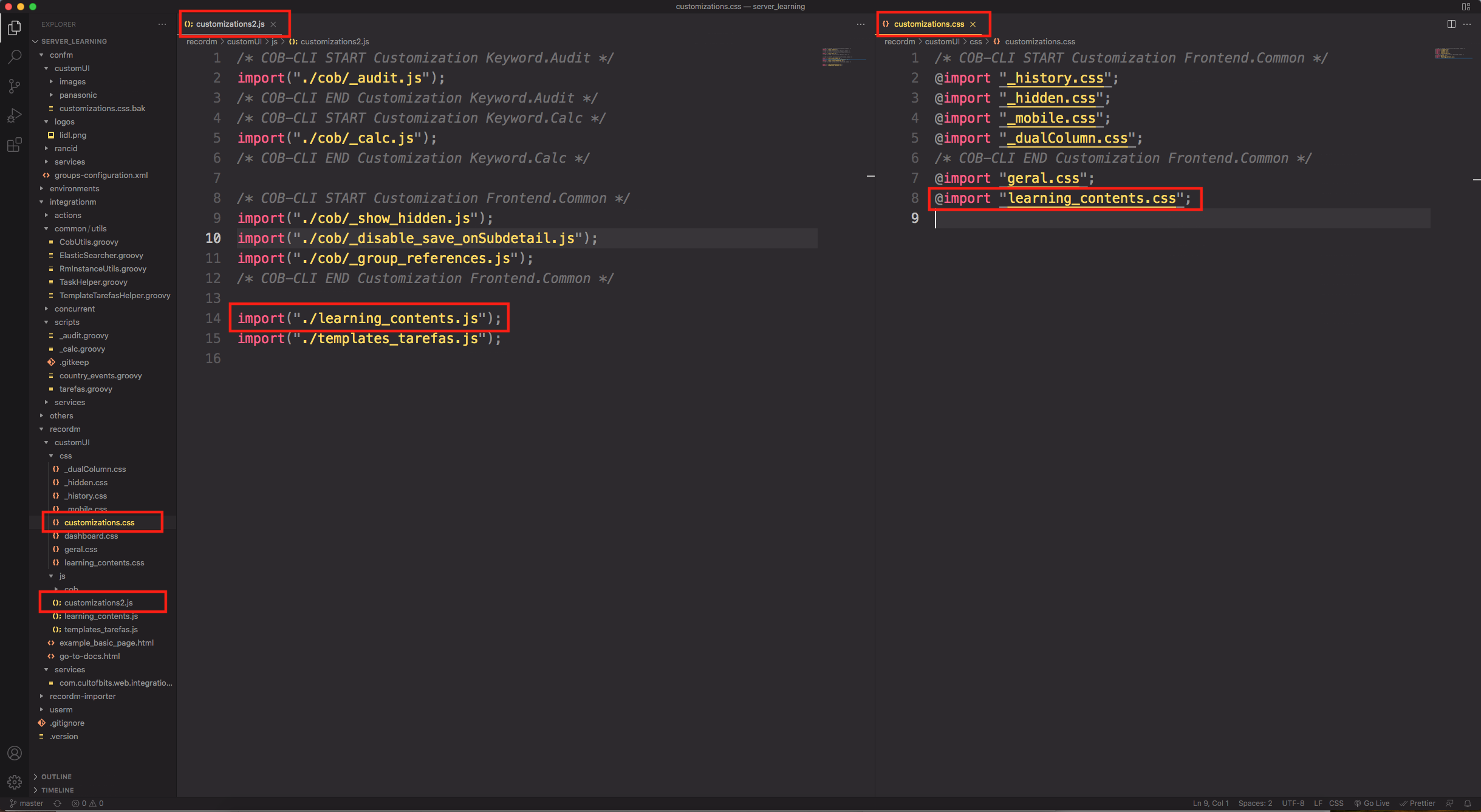 customizationjscss